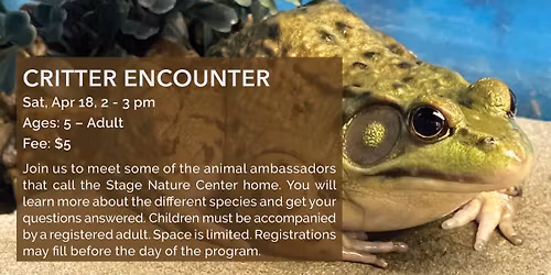 Critter Encounter