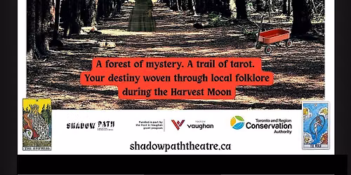 Forest of Shadows
