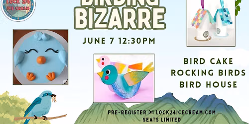 Bird Bizarre 