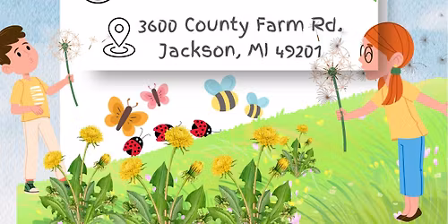 PICKING DANDELION\u2019S & Making Dandelion Jelly 