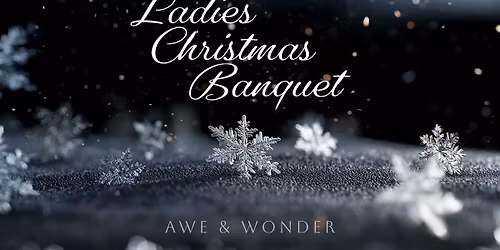 Awe & Wonder Ladies Christmas Banquet