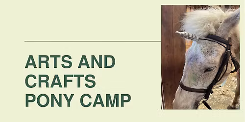 Arts and Crafts pony camp
