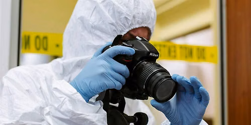 Pumpkin Carving