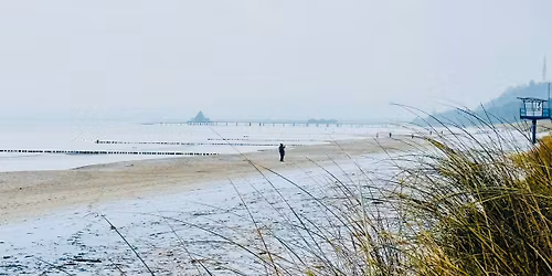 Workshop: Von der Idee zum Social Media Video