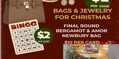 Holiday bling & bag bingo and raffle fundraiser