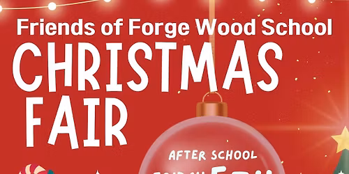 Forge Wood Primary School Christmas Fair \ud83c\udf84