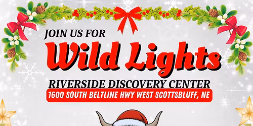 Wild Lights at the Zoo