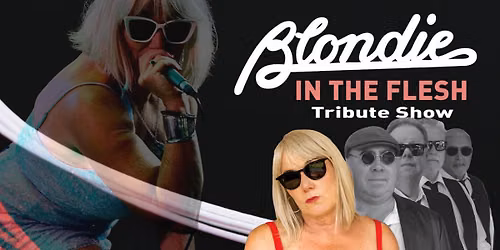 Blondie In The Flesh at the Factory Theatre (Support)