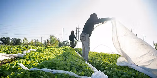 Winter Grower Workshop