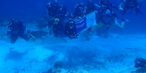 DIVING INTO DIVERSITY: Building Belonging Beneath the Surface