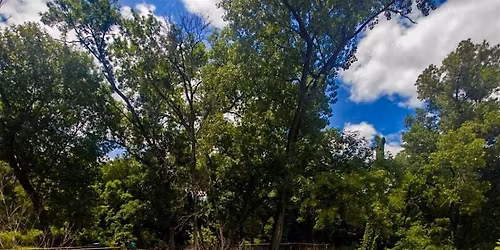 Film Photowalk at Gateway Park