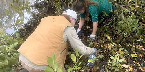Invasive Plant Removal Workshop