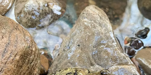 Summer Discovery, for 5 to 10 year olds