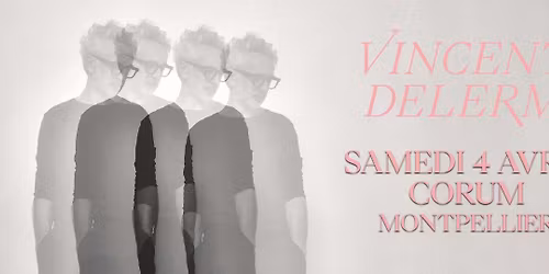 VINCENT DELERM "Nouveau spectacle"