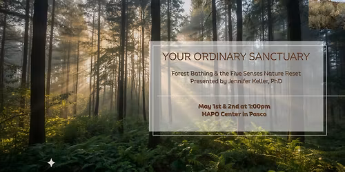 Your Ordinary Sanctuary: Forest Bathing & the Five Senses Reset