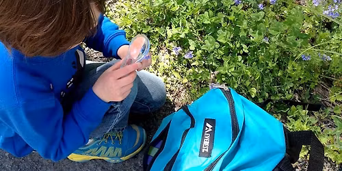 Homeschool Hike: A Sense of Spring 4