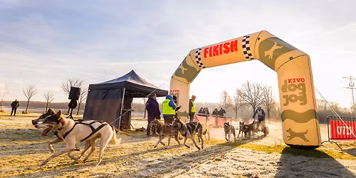 KIVO DOGJOG 2025