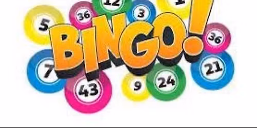 BINGO NIGHT