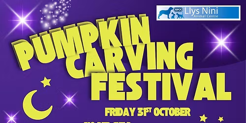 Pumpkin Carving Festival 2025