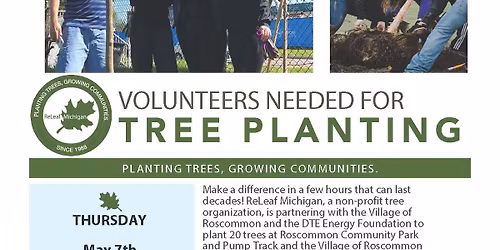 Tree Planting in Roscommon