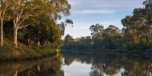 Yarra River Running Festival