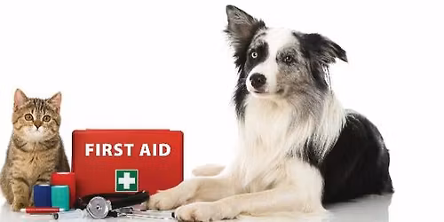 Pet CPR & First Aid Training