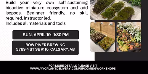  Enclosed Terrarium + Isopods Workshop | Bow River Brewing