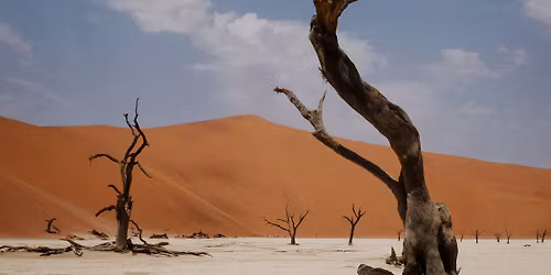 NYOS live @Ziggy Club