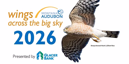 Wings Across the Big Sky Festival