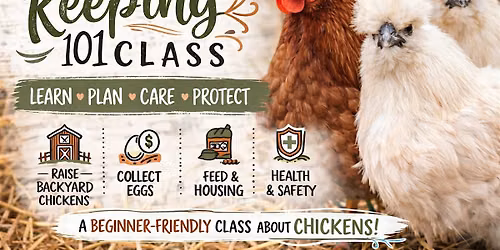 Coffee & Chickens
