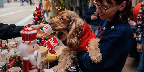COCKER SPANIEL CAFE CHRISTMAS - BIRMINGHAM