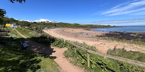 Coldingham Bay & Eyemouth Circular