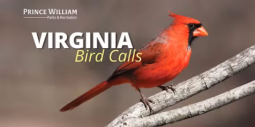 Virginia Bird Calls
