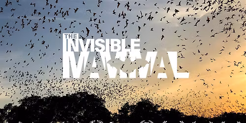 "The Invisible Mammal" Film Screening Event | Sycamore