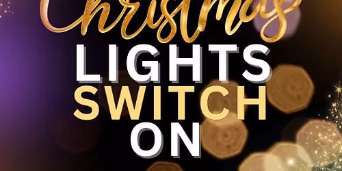 Christmas Lights Switch On