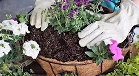 Build Your Own Planted Hanging Basket Workshop