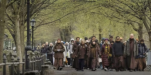 Hiking Zen Mindful Walk in Prospect Park