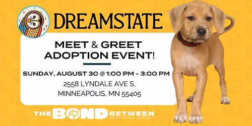 Meet & Greet Adoption Event at Dreamstate Cafe
