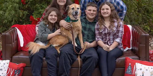 Christmas Minis in the Park