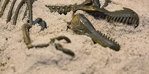Unearth a Story: Mini Explorer\u2019s Dino-Dig