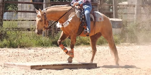 Granby Saddle Club - Obstacle Course Aug 1st
