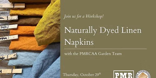 Naturally Dyed Linen Napkins