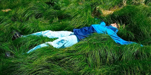 Entspannung, Hingabe & Vertrauen \u2013 Wild Life Tantra Wochenende Level II
