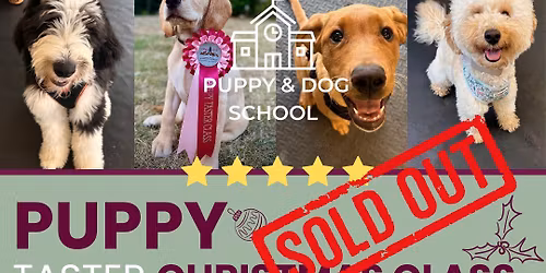 Puppy Taster Christmas Class - 19th December\u201925 - SOLD OUT