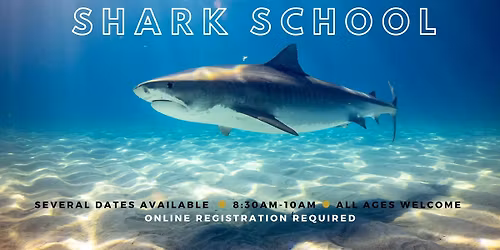 NBSTCC Shark School