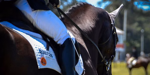 Demo, Dabble & Do - Para - Christchurch Riding for Disabled