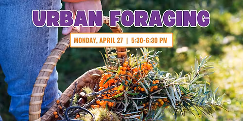 Urban Foraging