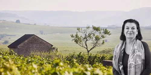 Vinkurs - L\u00e6r og forst\u00e5 mystikken bak Bourgogne 