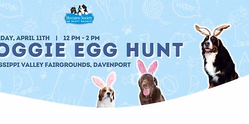 Doggie Egg Hunt