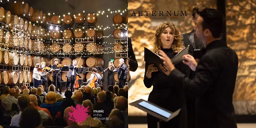 Night 1: Christmas in the Vineyards in Napa!